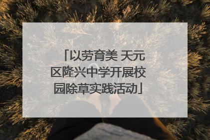 以劳育美 天元区隆兴中学开展校园除草实践活动